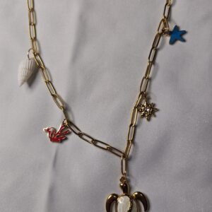 Collar tortuga acero inoxidable